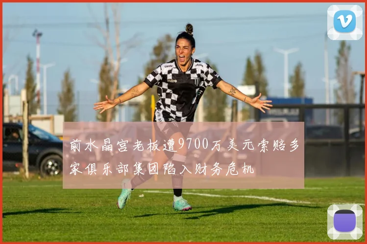 前水晶宫老板遭9700万美元索赔多家俱乐部集团陷入财务危机