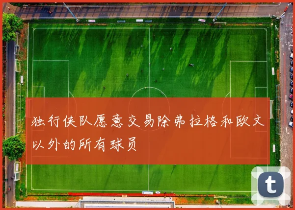 独行侠队愿意交易除弗拉格和欧文以外的所有球员