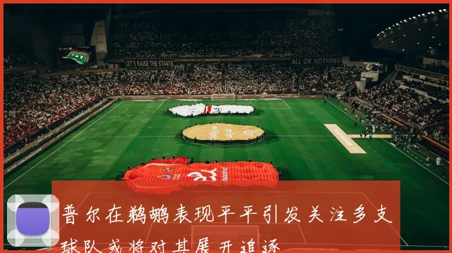 普尔在鹈鹕表现平平引发关注多支球队或将对其展开追逐