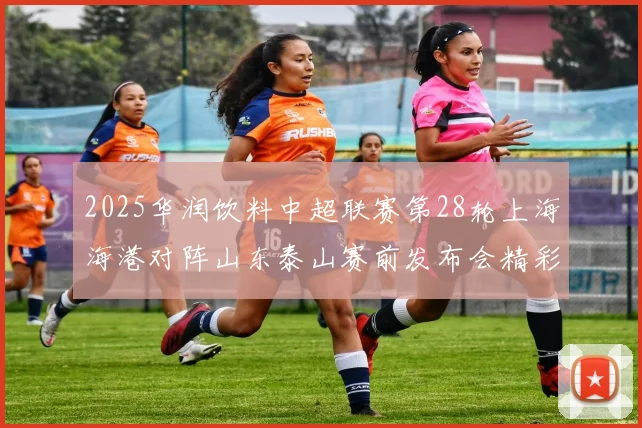 2025华润饮料中超联赛第28轮上海海港对阵山东泰山赛前发布会精彩回顾