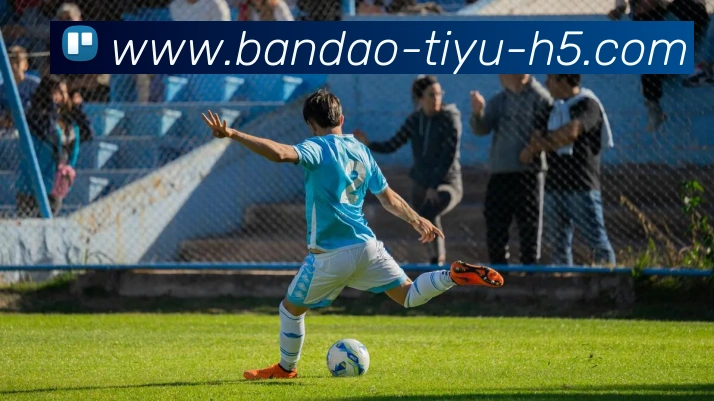 半岛体育平台生态图