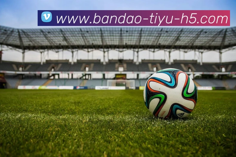 半岛体育全站App